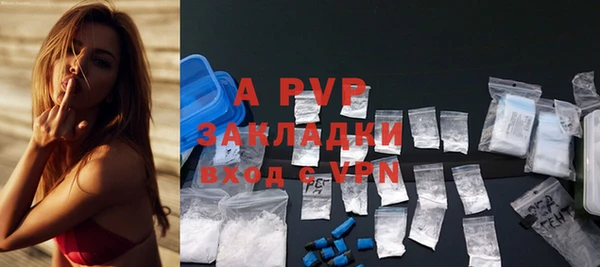 сатива Белоозёрский