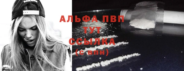 сатива Белоозёрский