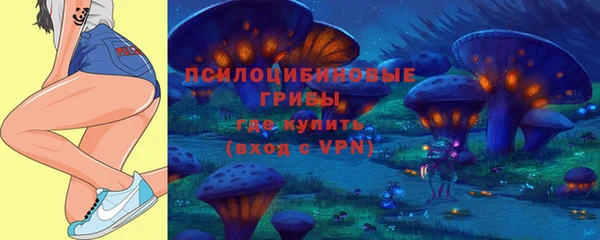 сатива Белоозёрский