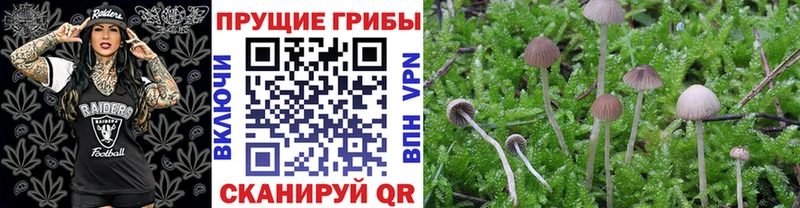 Псилоцибиновые грибы Magic Shrooms  Купить где  Баймак 